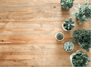 Lewis and Son Roofing Images